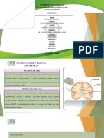 Bio 1 Encefalo