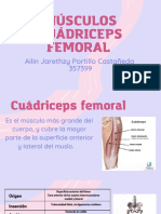 Músculos Cuádriceps Femoral: Ailin Jarethzy Portillo Castañeda 357399