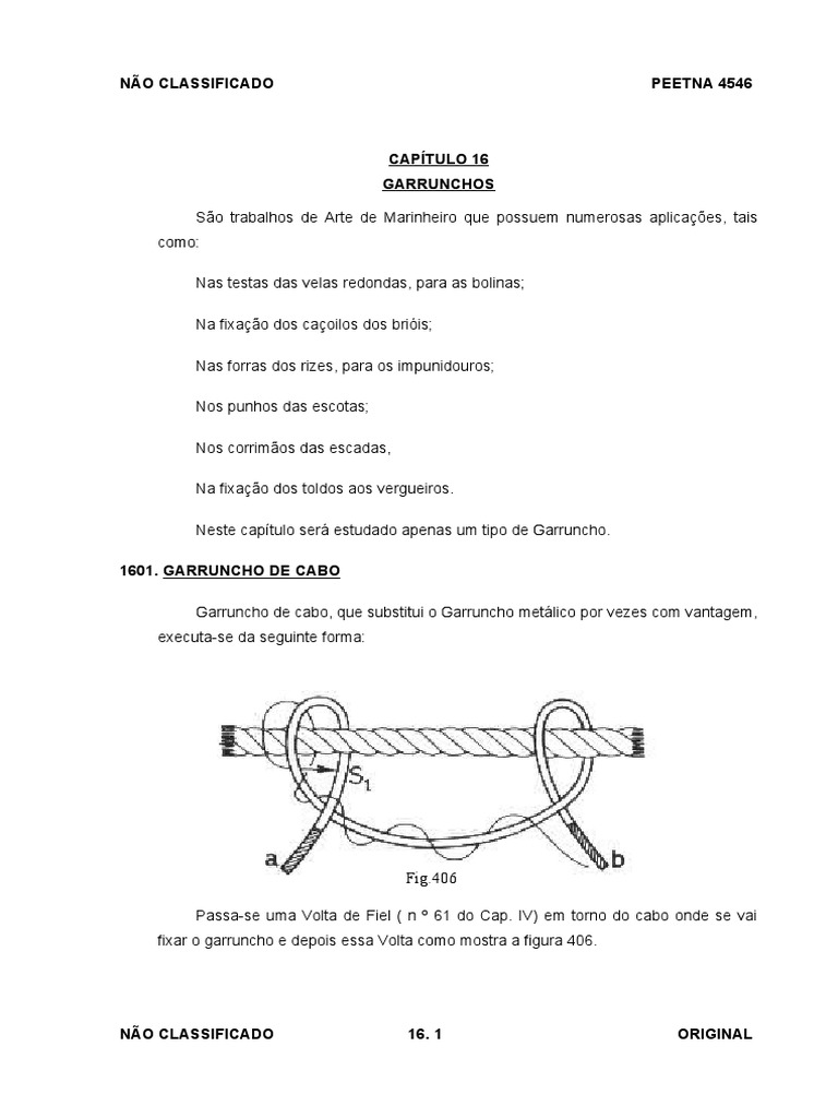 Cap. 16 Garrunchos | PDF | Casa e Jardim