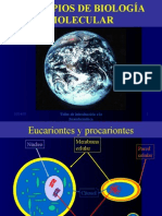 DNA Y RNA