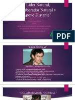 Vivas - Pérez - Diego - 2TSM5 - Lider Natural - Colaborador Natural - Apoyo Distante