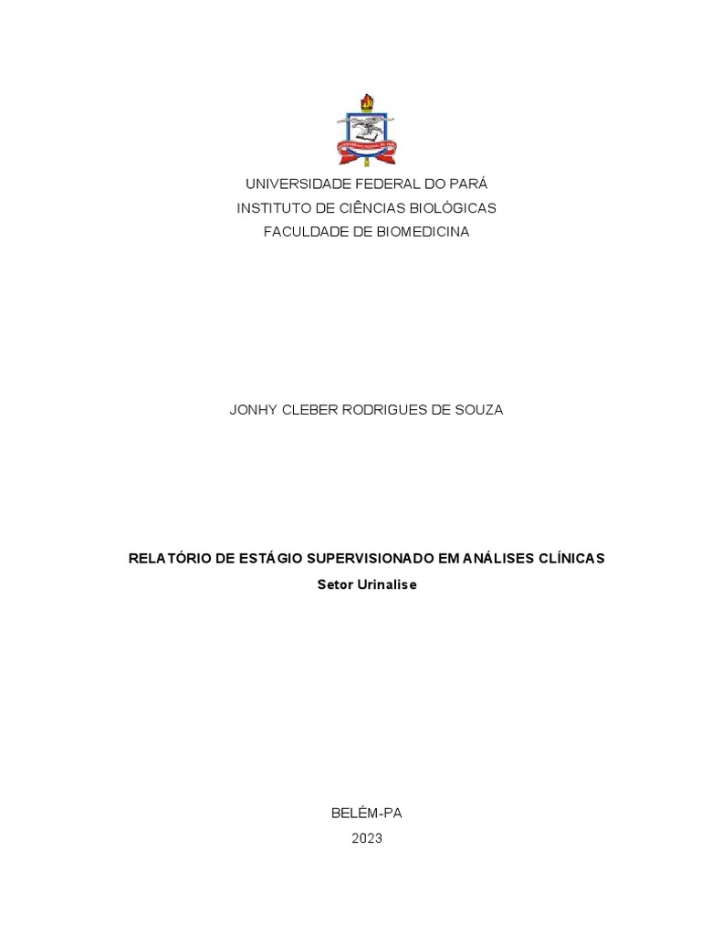 relatorio-urinalise-jonhy-barros-barreto-pdf-bile-urina