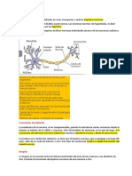 Material de La Unidad I