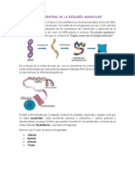 El Dogma Central de La Biología Molecular-1