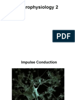 22neurophysiology 2CV