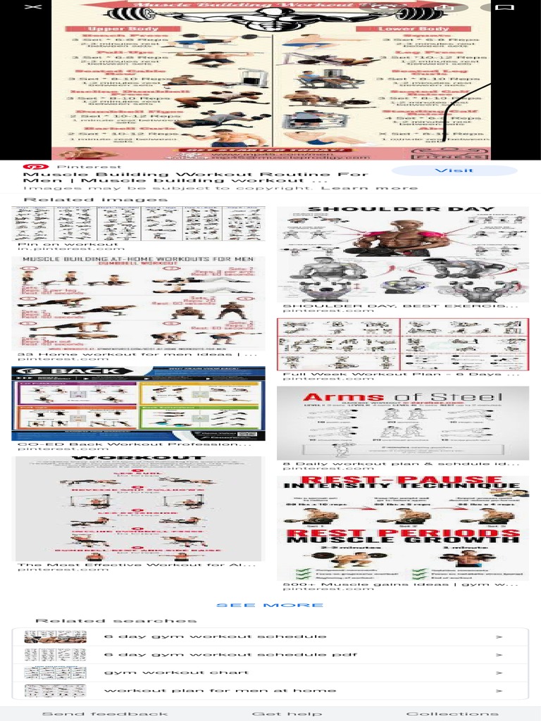 Gym Workout Plan For Men - Google Search | PDF | Self-Improvement
