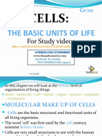 Cells Basic Structure of Life