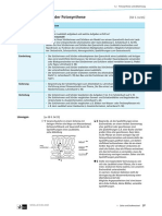 Das Laubblatt - Ort Der Fotosynthese