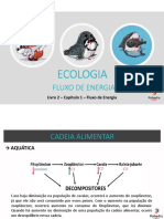 Aula - Teia Alimentar e Bioacumulação