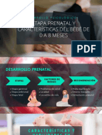 Caracteristicas de La Etapa Prenatal y Bebe de 0 A 8 Meses