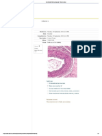 Cuestionario Sistema Vascular - Attempt Review