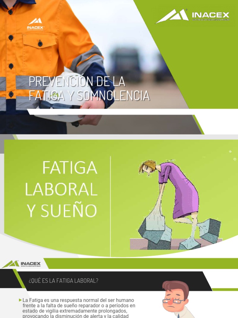 Prevención de La Fatiga y Somnolencia | PDF | Alimentos | Bebida
