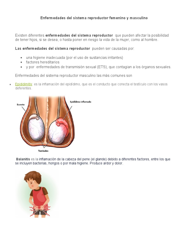 Enfermedades del Sistema Reproductor | PDF | Infección transmitida ...