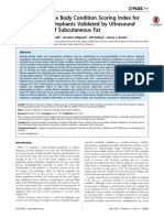 Development of A Body Condition Scoring Index For Female African Elephants Validated by Ultrasound Measurements of Subcutaneous Fat