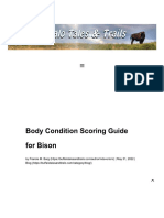 Body Condition Scoring Guide For Bison - Buffalo Tales and Trails