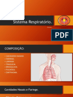 Sistema Respiratório Oficial