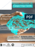 Investigación Consultoría de Negocios