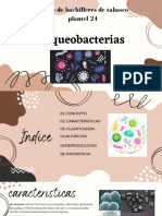 Arqueobacterias