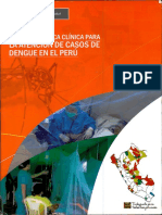 Guia Practica Clinica para La Atencion de Casos de Dengue en El Perú