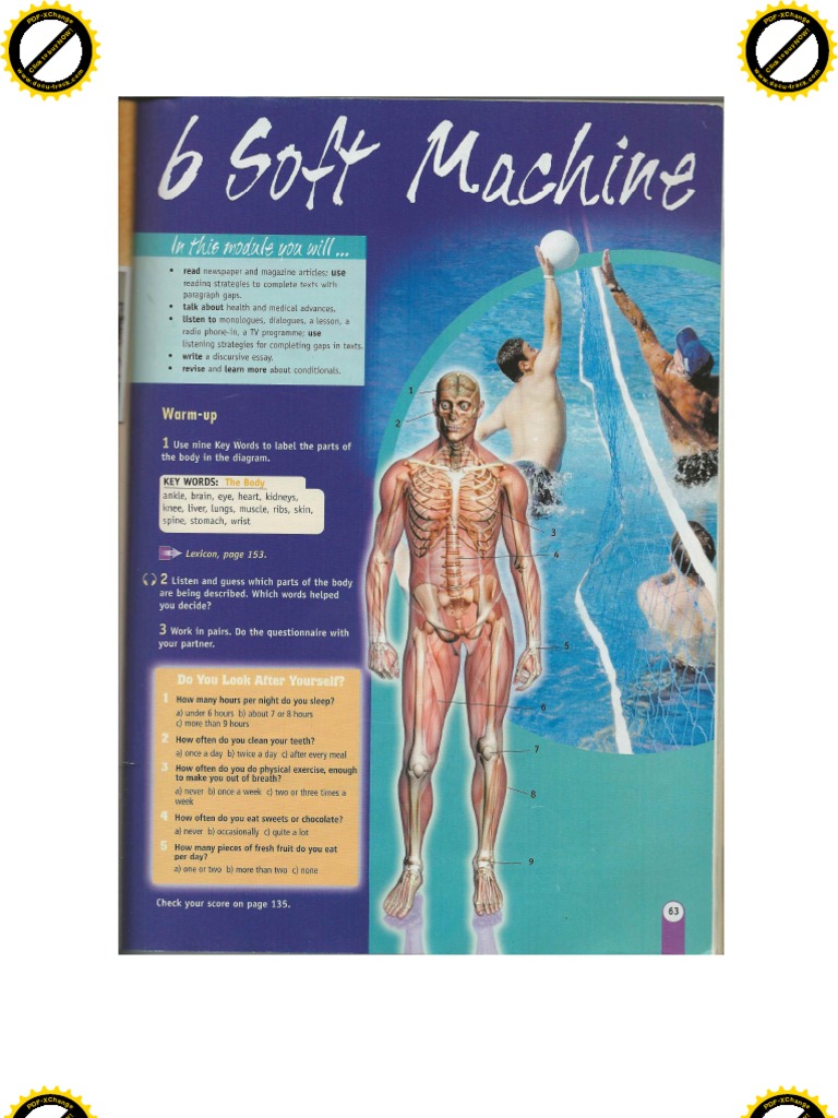 New Opp Module 6 | PDF