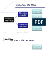 Derechos de Autor y Conexos. ESP. Externado