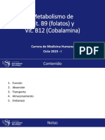 Metabolismo de Folatos y B12