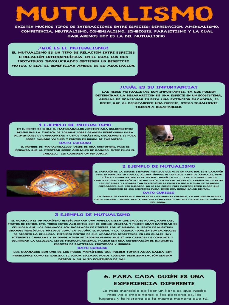 Ejemplos y Definición de Mutualismo | PDF | Celulosa | Herbívoro