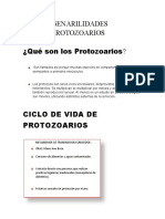 Genarilidades Protozoarios