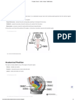 The Vagina - Structure - Function - Histology - TeachMeAnatomy