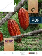 GQSP PERU - Caracteristicas de La VC de Cacao en San Martin y Necesidades