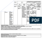 Ejemplo Programa Analítico Formato 2