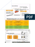 Farmacos Embarazo