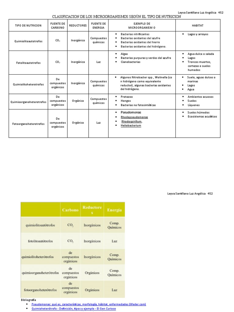 Clasificación de microorganismos por nutrición | PDF | Las bacterias ...