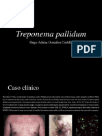 Treponema Pallidum