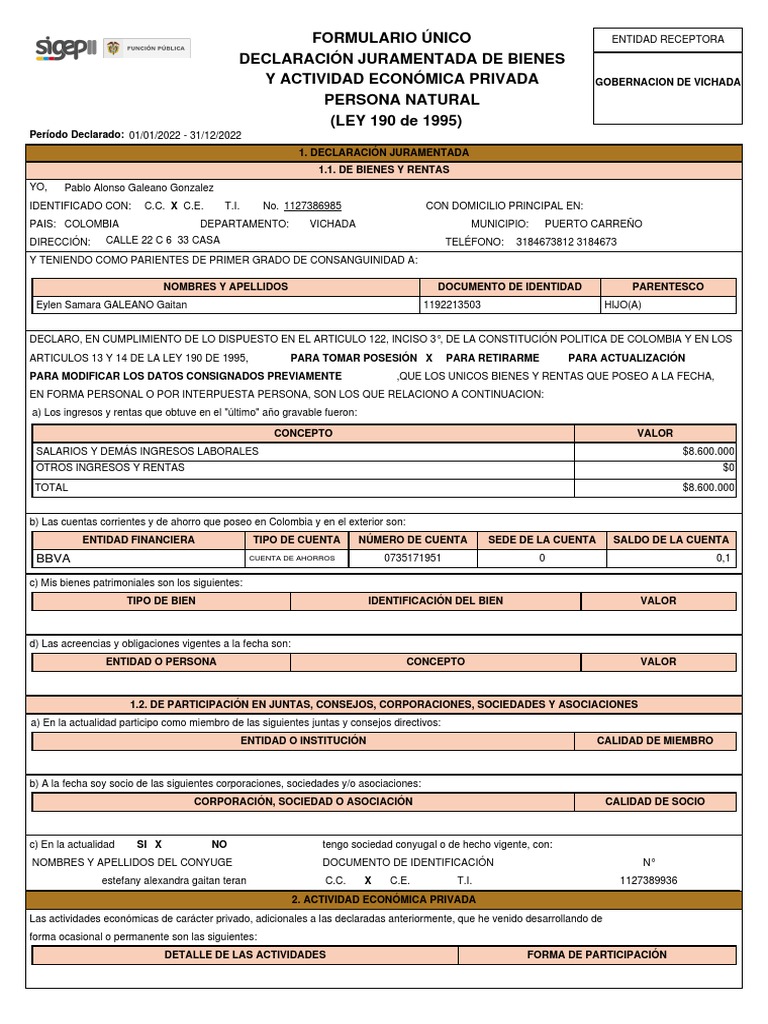 Declaracion de Bienes y Renta PDF