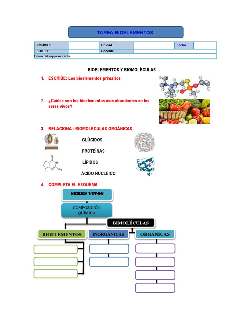 Bioelementos y Biomoléculas en Seres Vivos | PDF