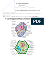 Taller de Repaso #1 La Celula