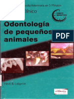 Odontología Canina y Felina 2 - 20131007 - 0001