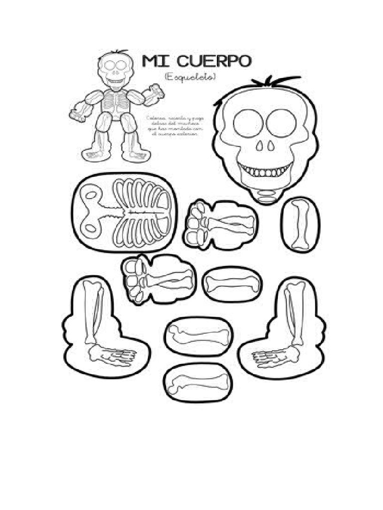 Mi Cuerpo | PDF