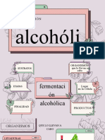 Fermentación Alcoholica - Equipo 4