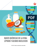 Bases Químicas de La Vida-Lípidos y Ácidos Nucleicos