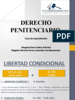 Clase 5 Defensa Especializada Libertad Condicional (27.01.21)