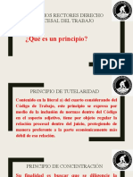 Principios Derecho Procesal Del Trabajo