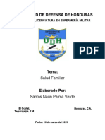 Escrito Personal-SALUD FAMILIAR-Palma Verde