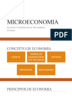 Conceptos Basicos Microeconomia