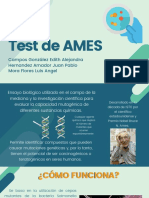 Test de AMES - F1