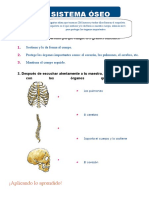 El Sistema Oseo