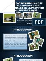 Diversidad de Avifauna Que Realizan Movimientos Altitudinales en La Provincia de Chiriquí, Panamá