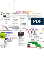 El Sistema Capitalista (Línea Del Tiempo)