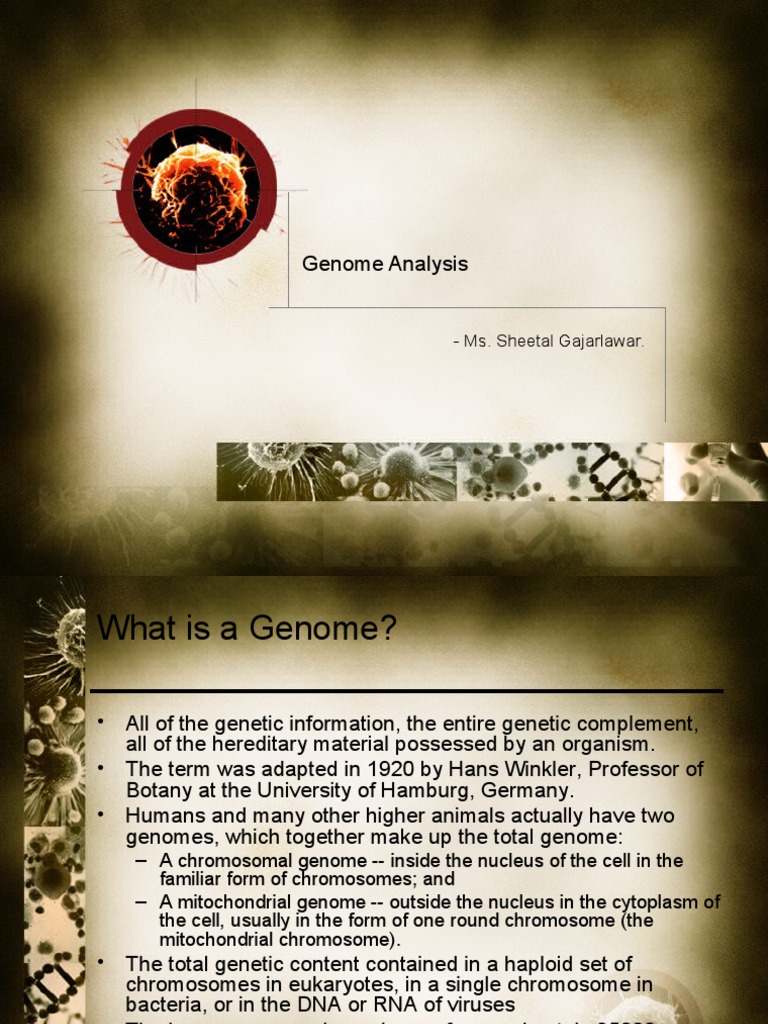 Genome Analysis 1 Pdf Genetics Genome